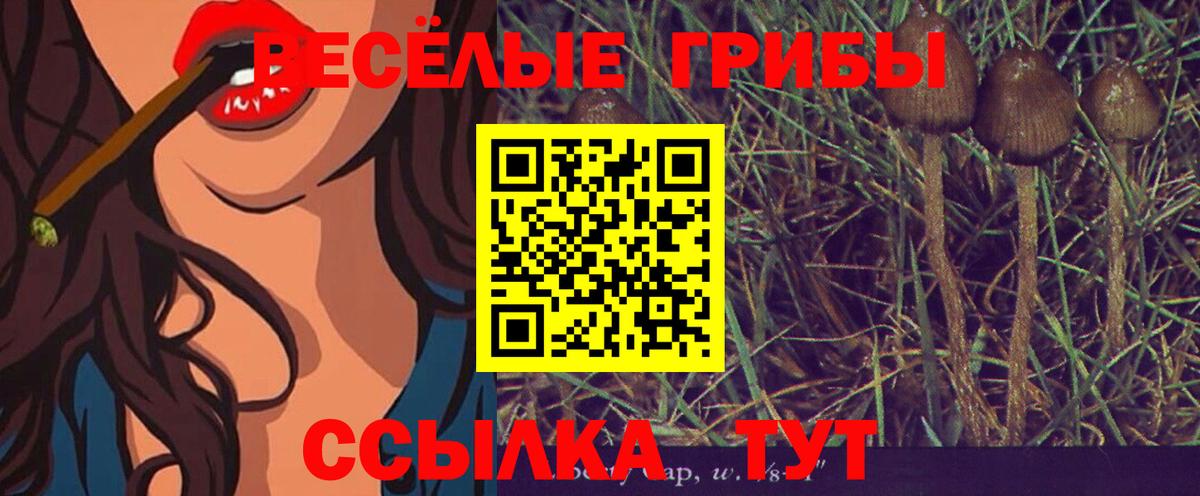 Электросталь  Галлюциногенные грибы MAGIC MUSHROOMS  Вход с VPN 
