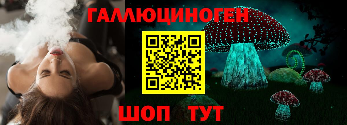 Псилоцибиновые грибы Cubensis Электросталь